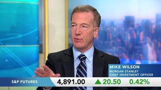 Morgan Stanley's Wilson on Stock Picker Opportunities