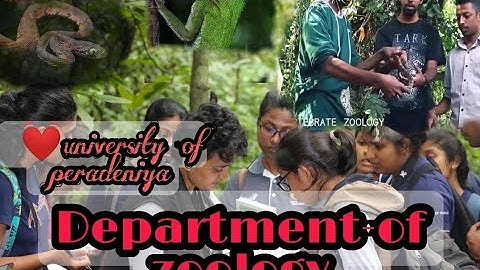 💓 Department-of-zoology 💓 university of peradeniya ❤️‍🔥Faculty of zoology srilanka 🇱🇰 |chamiya produ