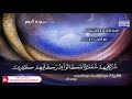الختمة المجودة الكاملة سور الروم لقمان السجدة الشيخ عبدالباسط عبدالصمد 