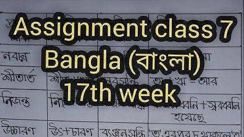 Assignment class 7 Bangla 17th week.