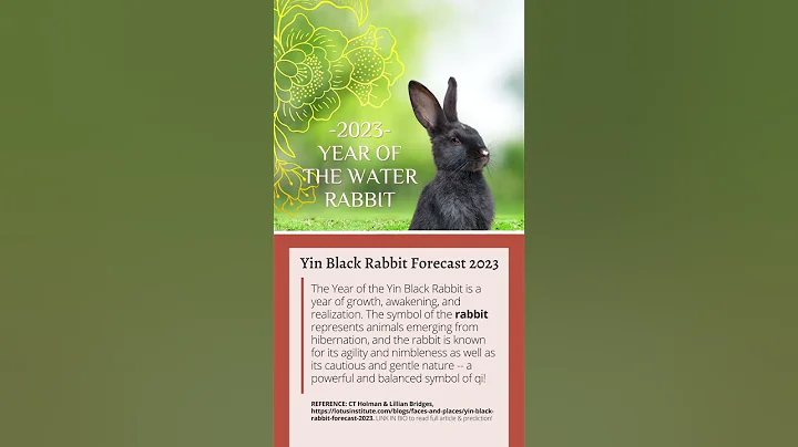 Chinese New Year 2023: Yin Black Rabbit