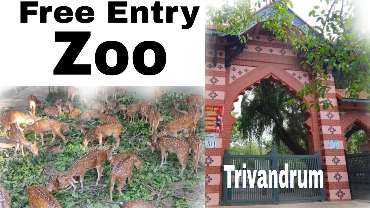 Trivandrum Zoo Free Entry Famous Tourist place in Trivandrum