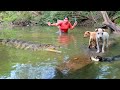 Women Catch Crocodile and Chicken egg for dog -  Cooking Chicken egg Eating delicious HD