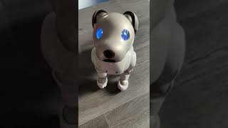 Special Entertainment Robot Dog Sony AIBO ERS-1000 white for sale