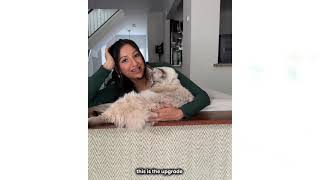 The Product Most Cat Parents Haven't Heard Of