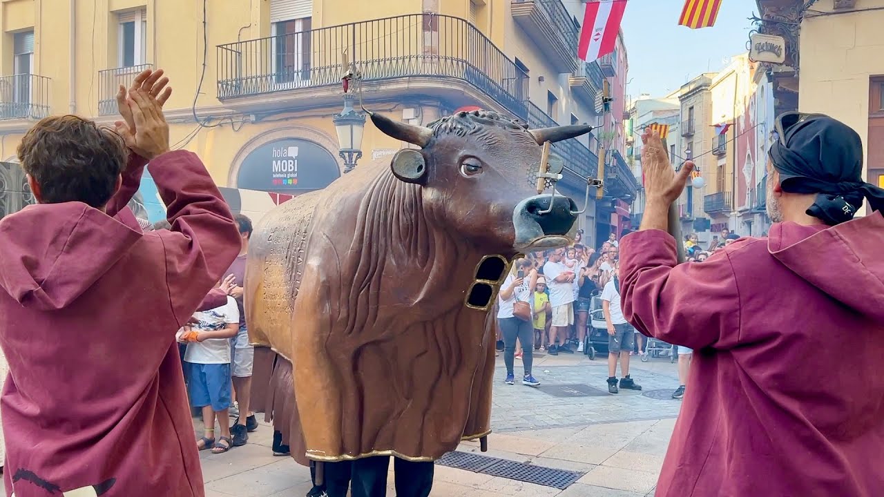 La gran pel·lícula - Tomb del Poble del Seguici Cerimonial (Festa Major de Sant Joan de Valls 2023)