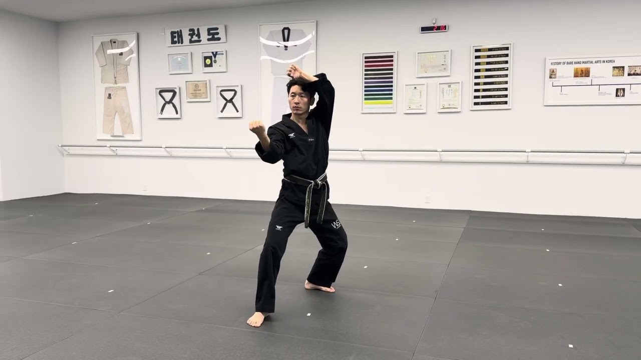⚫️⚫️ Taebaek Poomsae - Black Belt 2nd Degree Curriculum 