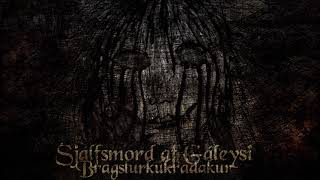 Sjálfsmorð af Gáleysi - Diskurinn brotnaði