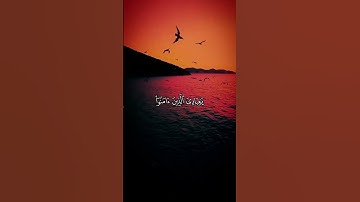 سورة العنكبوت ❤ #قرآن #المصحف #اكسبلور #quran #لايك