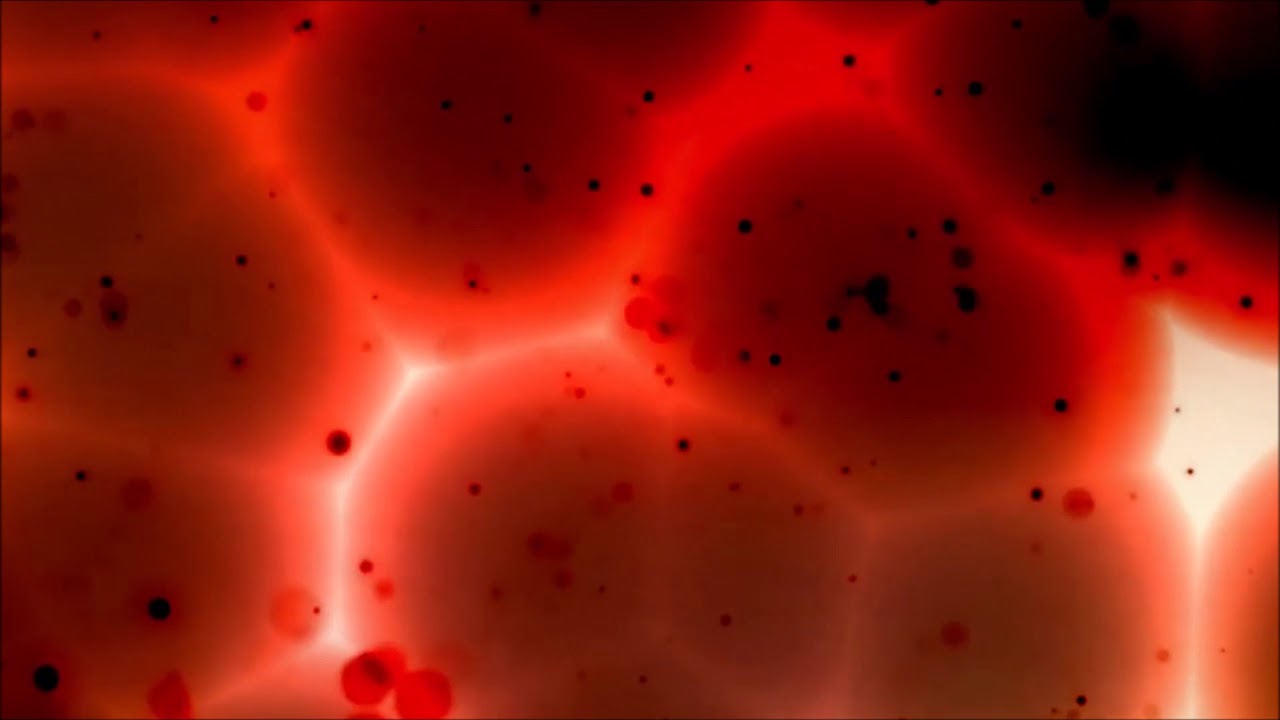 You Are The Blood Miami Acoustic Cover (Audio