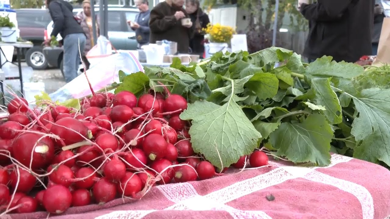 Free Farm Stand feeds 600 families with local produce