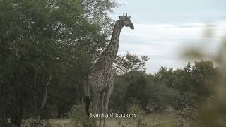 Zambezi Sands Video Presentation