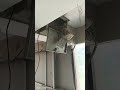 Cctv POE Switch Rack. Today Site @CCTVCamerasJagtial