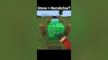 Steve = Herobrine? #minecraft #akhilog #shorts