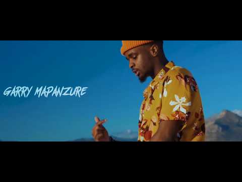 Hillzy x Garry Mapanzure - TV Room (PROMO VIDEO)