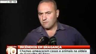 Incêndio Florestal em Vila Flor (Bragança)