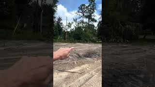 IMG 7254