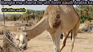 jungle mein charta hua uth  Saudi Arabia ka #my #viralvideo please subscribe