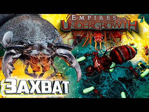 Захват и Первое Испытание на Безумие - Empires of the Undergrowth #2