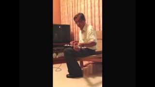 Ragas on Guitar by Pradeep Buch
