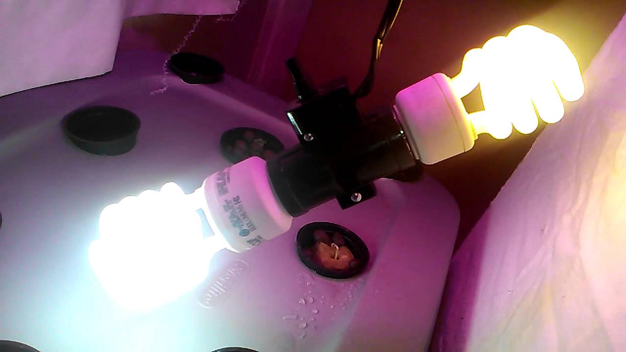 Indoor medical grow Dec cfl led lights