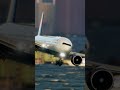As Asas da Liberdade: Explorando o Mundo da Simulação de Voo #shorts - 094