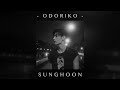 Sunghoon Odoriko Slowed Reverb