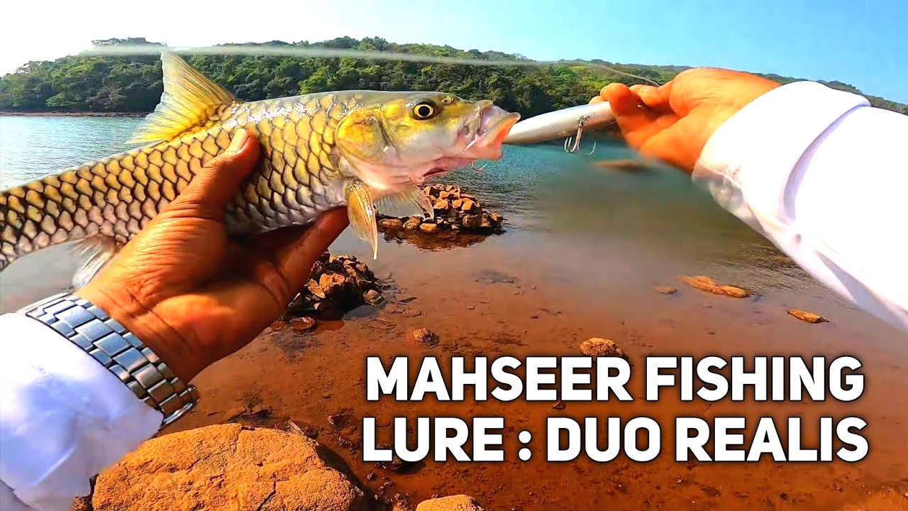 Mahseer Fishing In India River Fishing Dam Fishing Lure DUO