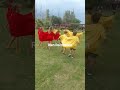 Rien Recreacion. Animación de Eventos en San Juan. 2644414554