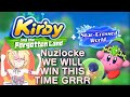 💙🐶💙 Cute Puppy's EIGHTH Attempt at the HARDEST Kirby Nuzlocke!
