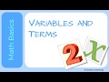 Algebra Basics Quiz