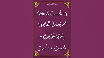 ما تيسر من الذكر الحكيم القارئ د.بريك سعد بريك