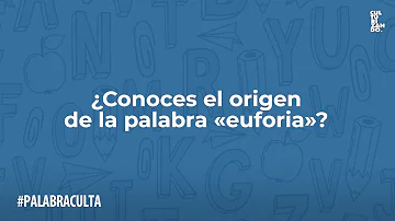 Cosa causa euforia?