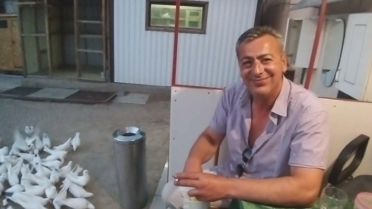 Голуби Барсегян Арарата в Волгограде! Анонс 