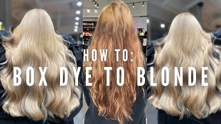 Hair Disaster! Transforming Box dye to Blonde in one appointment with no breakage  tutorial