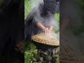 Beauty attacked by streaky snake uses bee wings to send message for help #kungfu #funnyvideo