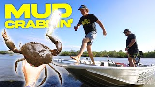 GIANT MUD CRABS! - Australian Catch and Cook Adventure! | Sick Puppy 4x4 by Sick Puppy 4x4 Adventures 107,936 views 3 years ago 19 minutes