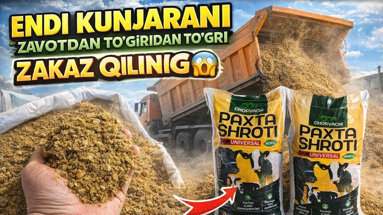 KUNJARA ZAVOTDAN TO‘G‘RIDAN TO‘G‘RI! 😱 | Narxi SHOK holatda!