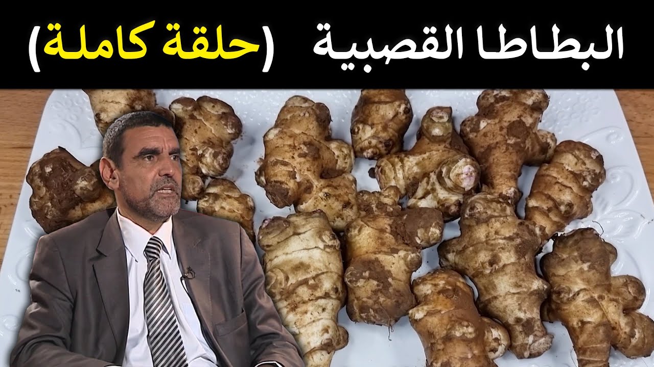 🔹 القلقاس (البطاطا القصبية): الغذاء المنسي وفوائده الخارقة! 🥔 د. محمد الفايد 🌴 #برنامج_نخل_ورمان