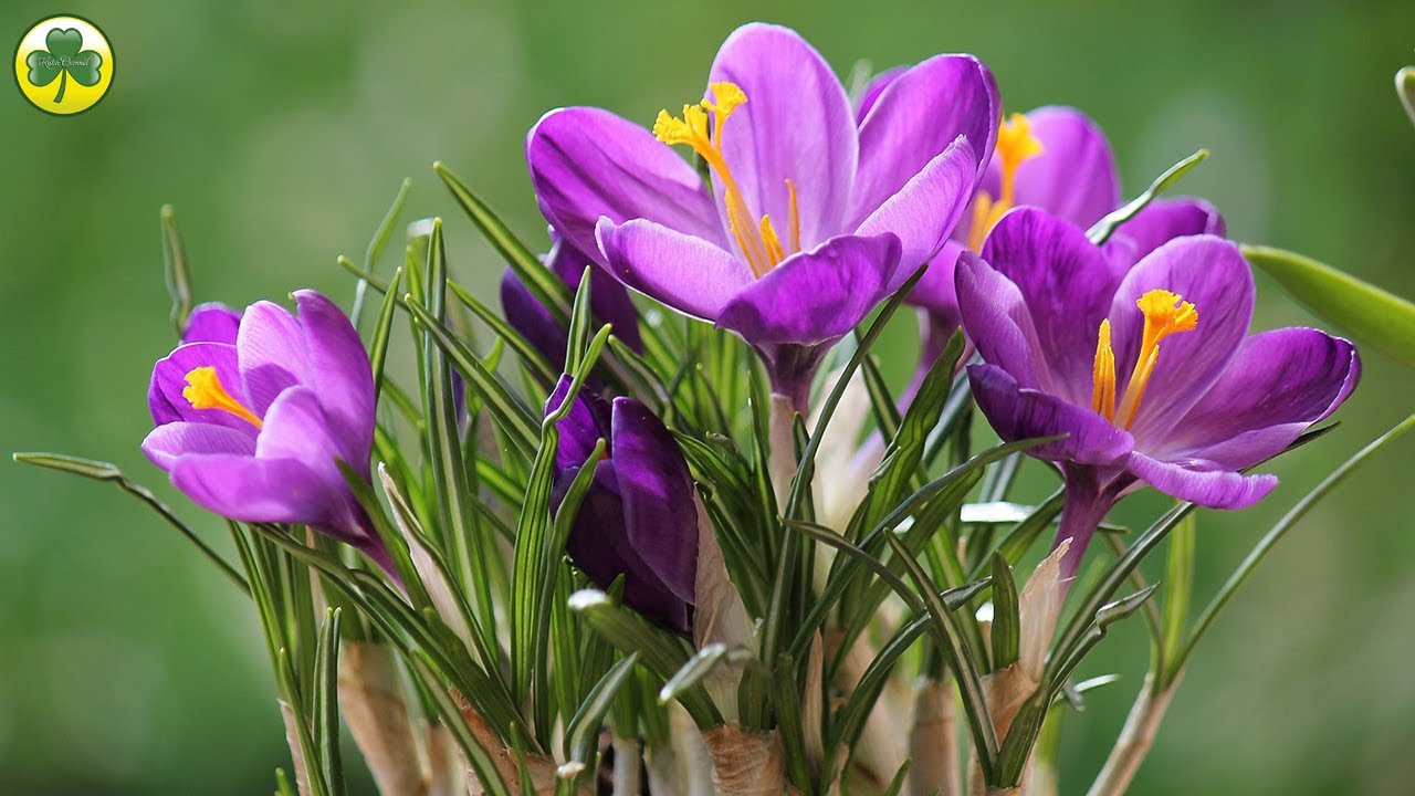 Эту музыку можно слушать вечно! Музыка Сергея Чекалина ! Лучшее Сборник ...