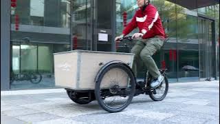 DAHON Cargoe T5 - Foldable E-Cargo Bike