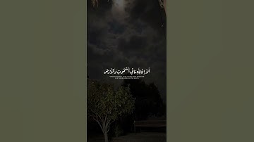 اكتب شي تؤجر عليه 🤍 القارئ عبدالرحمن مسعد