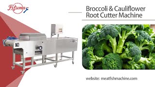 Cauliflower and Broccoli Root Cutting & Trimming Machine - FXFM MACHINE