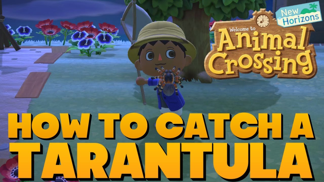 Animal Crossing New Horizons - How To Catch a Tarantula