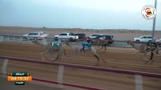 نادي الشارقة لسباقات الهجن- ش 1 حقاقة 22/08/2026 همس لـ مبارك مهير محيان الكتبي التوقيت: 6:14:90