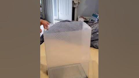 eWonLife Shoe Storage Boxes Organizer, Stackable Plastic Shoe Storage Containers for Closet, Drop Fr