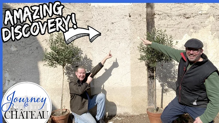 Chateau Garden TRANSFORMATION and an AMAZING DISCOVERY! - Journey to the Château de Colombe, Ep. 73