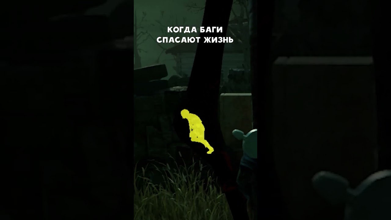 когда баги спасают жизнь / when bugs save lives 