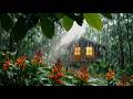 Sheltered Soundly Beneath a Mossy Veranda Roof 🌧️ Endless Raindrops on Jungle Leaves 🍃 Fall Asleep