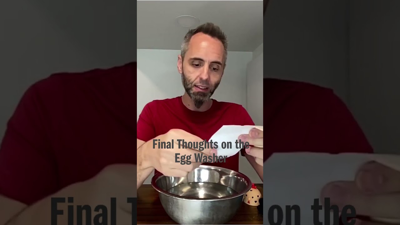 Final Thoughts on the Egg Washer